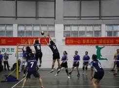 塞尔塔队员齐心协力，逼平对手的简单介绍